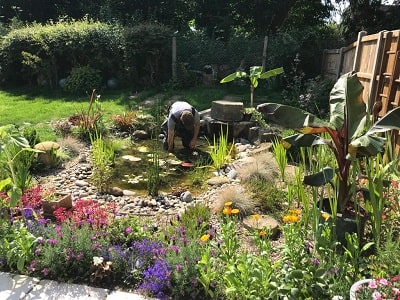 Pond Maintenance - A J Hutchinson - Garden & Pond Maintenance.